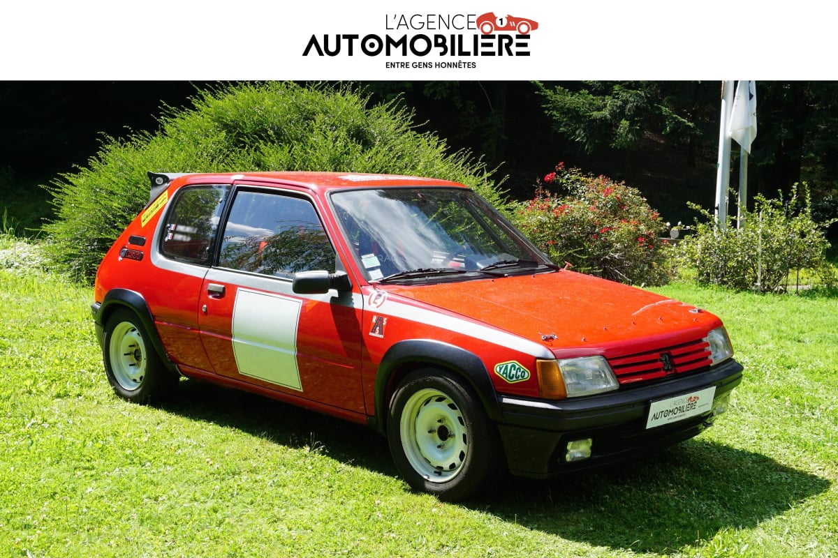 Peugeot 205 GTI F2000 — 1
