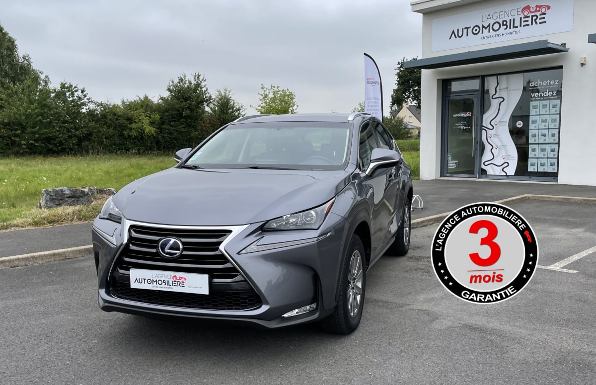 Lexus NX LEXUS NX 300 H HYBRID PACK BUSINESS 4X4 197CV — 1