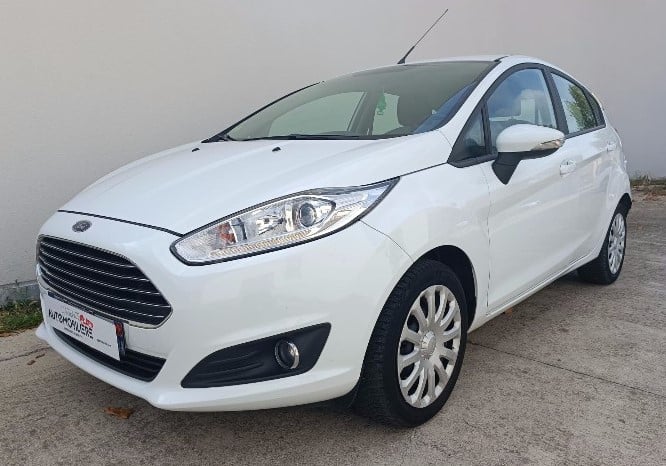 Ford Fiesta VI Phase 2 Trend 1.5 TDCI 75 Ch — 1