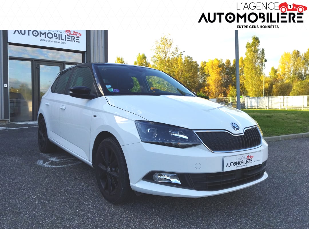 Skoda Fabia 1.0 TSI 110 DSG7 Clever — 1