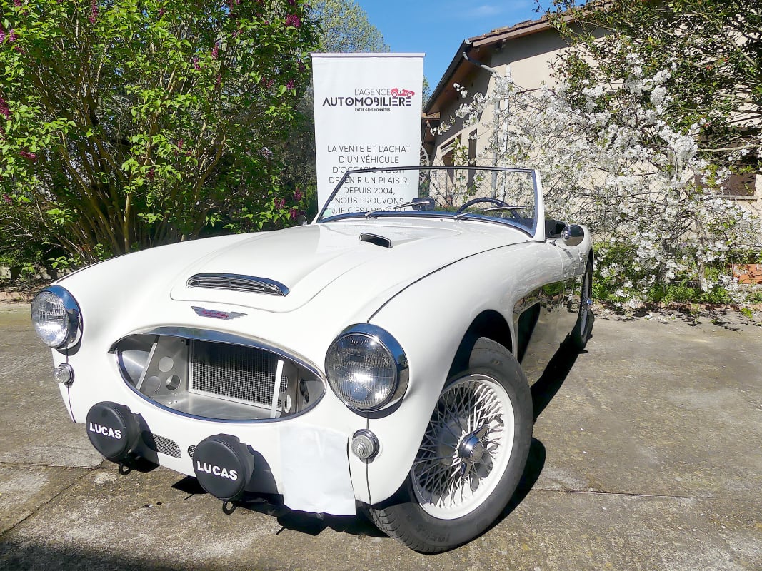 Austin-Healey 3000 Austin Healey 3000 BT7 — 1
