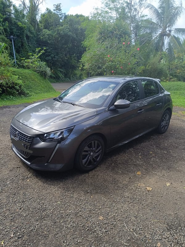 Peugeot 208 1.2 100 S&S ACTIVE EAT8 — 1