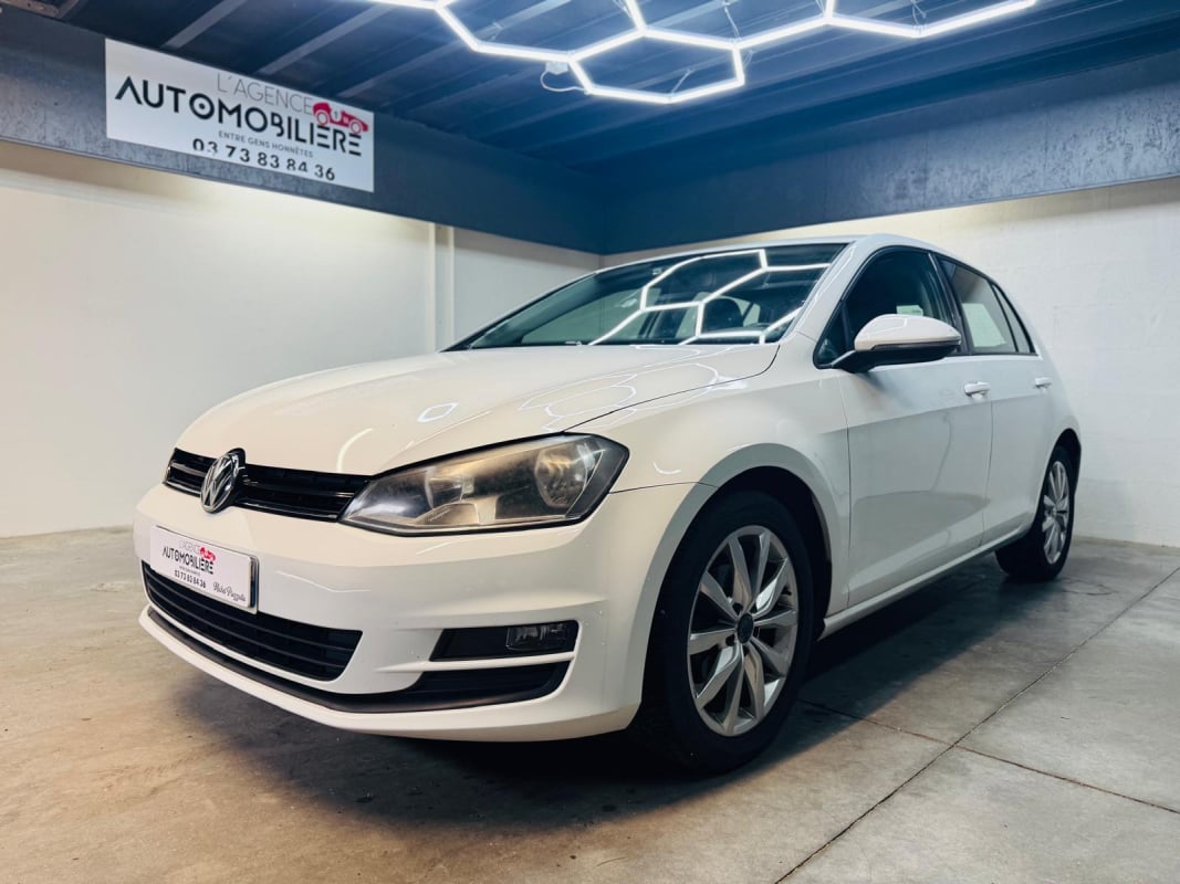 Volkswagen Golf VII 1.6 TDI 16V Blue Motion — 1