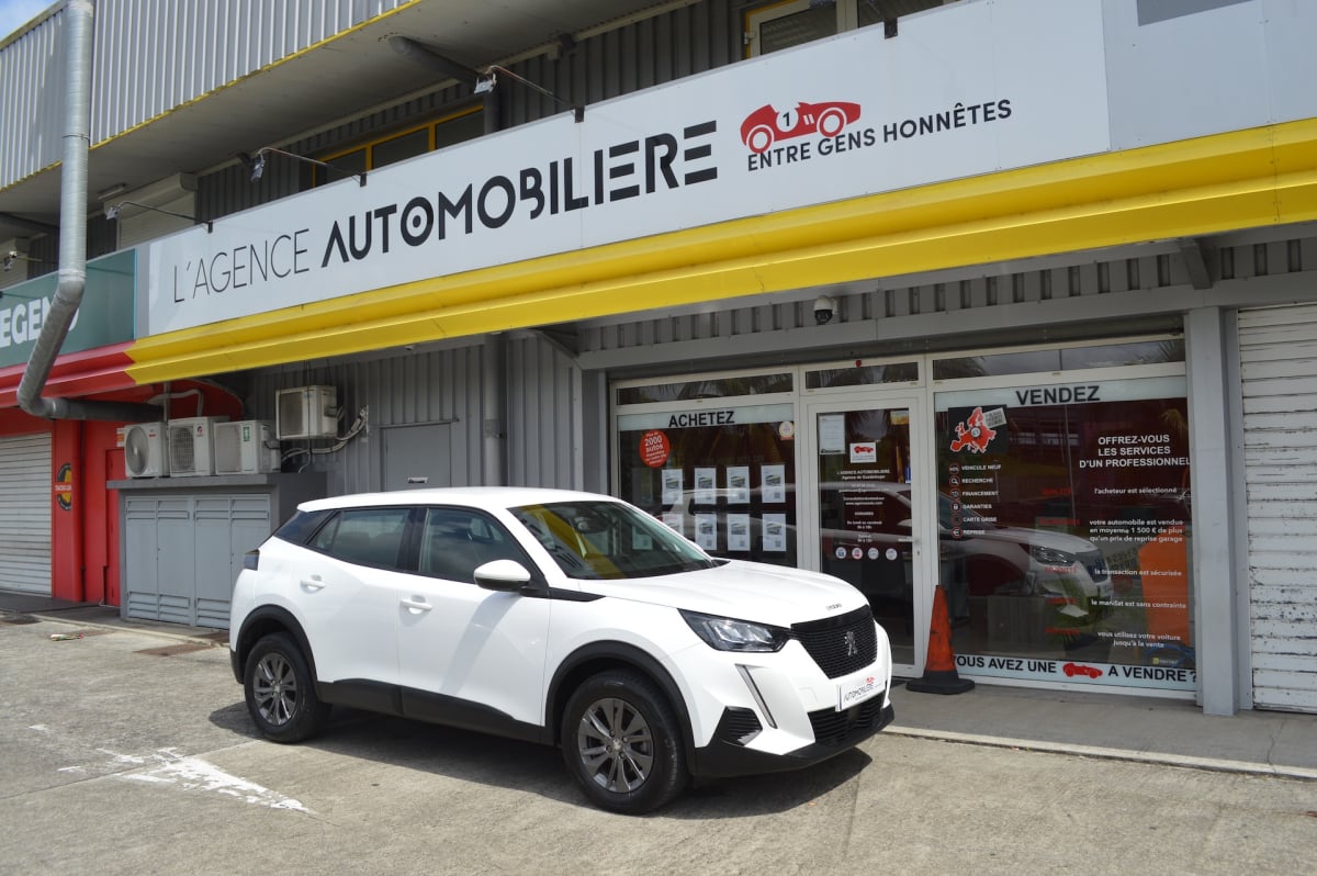 Peugeot 2008 1.5 BLUEHDI 110 BVM6 ACTIVE BUSINESS — 1