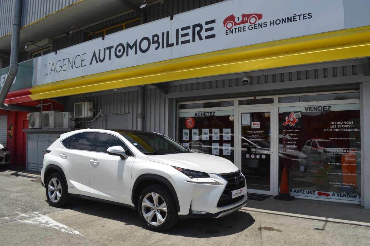Lexus NX NX 300h 4WD — 1