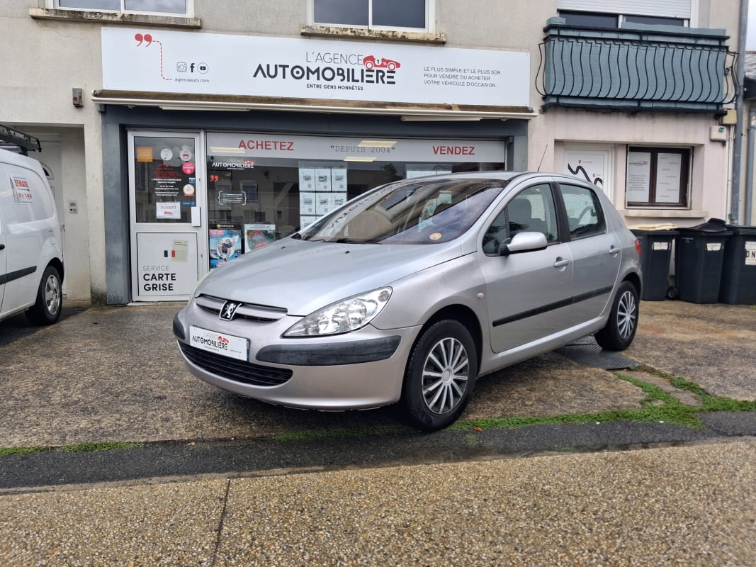 Peugeot 307 1.6i 110cv Pack Confort — 1