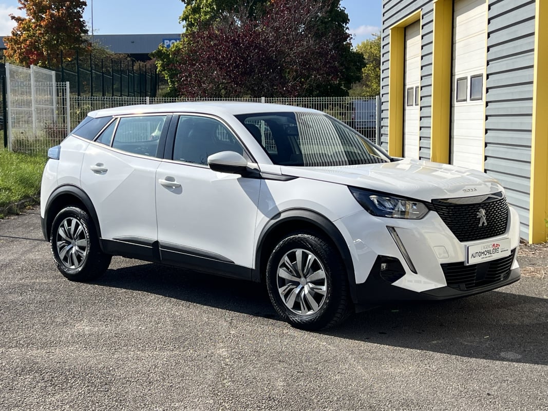 Peugeot 2008 1.5 BlueHDi 110 CV Active Business — 1