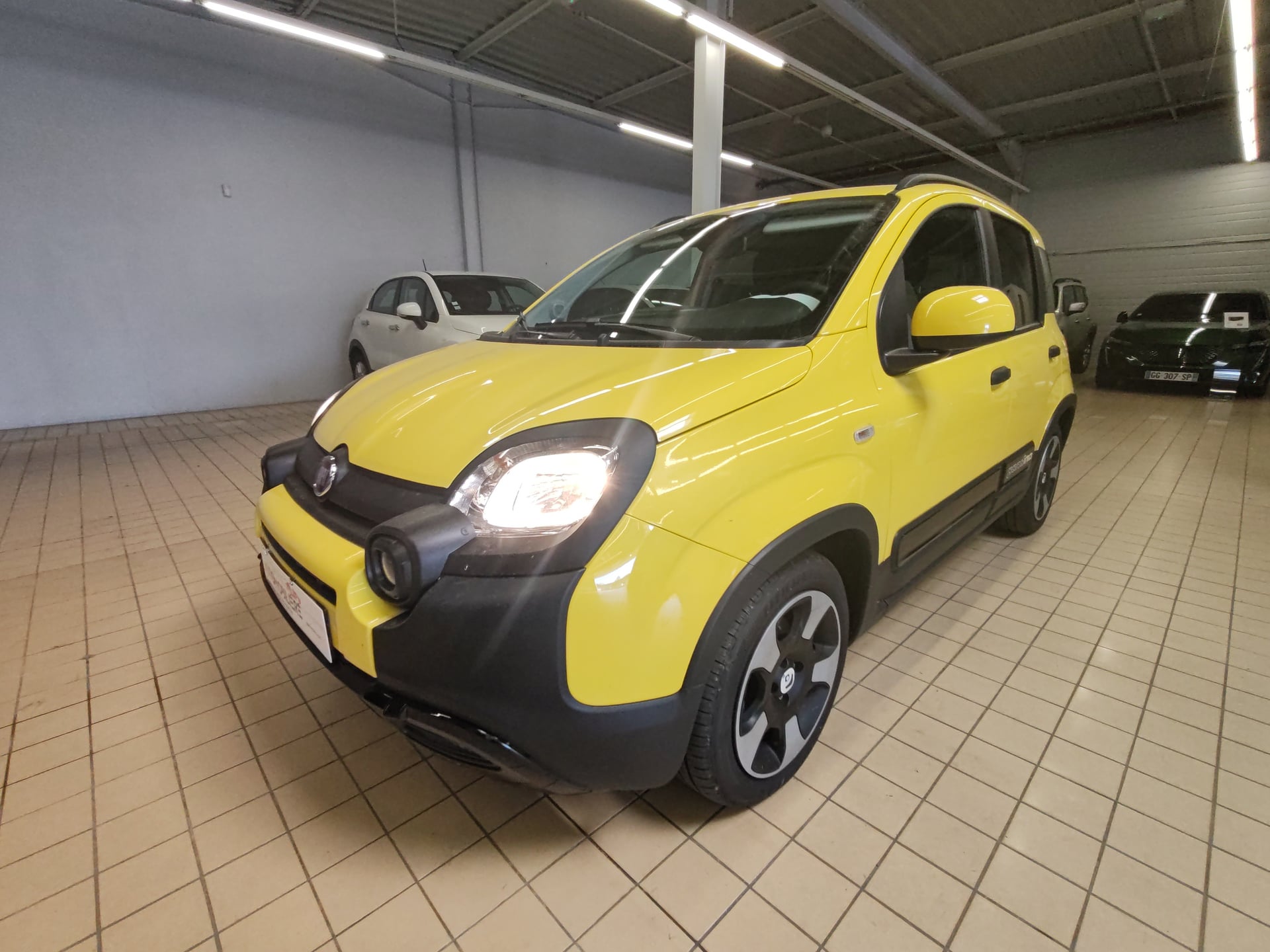 Fiat Panda CLASSIC 1.0  70CV BSG S&S PANDINA