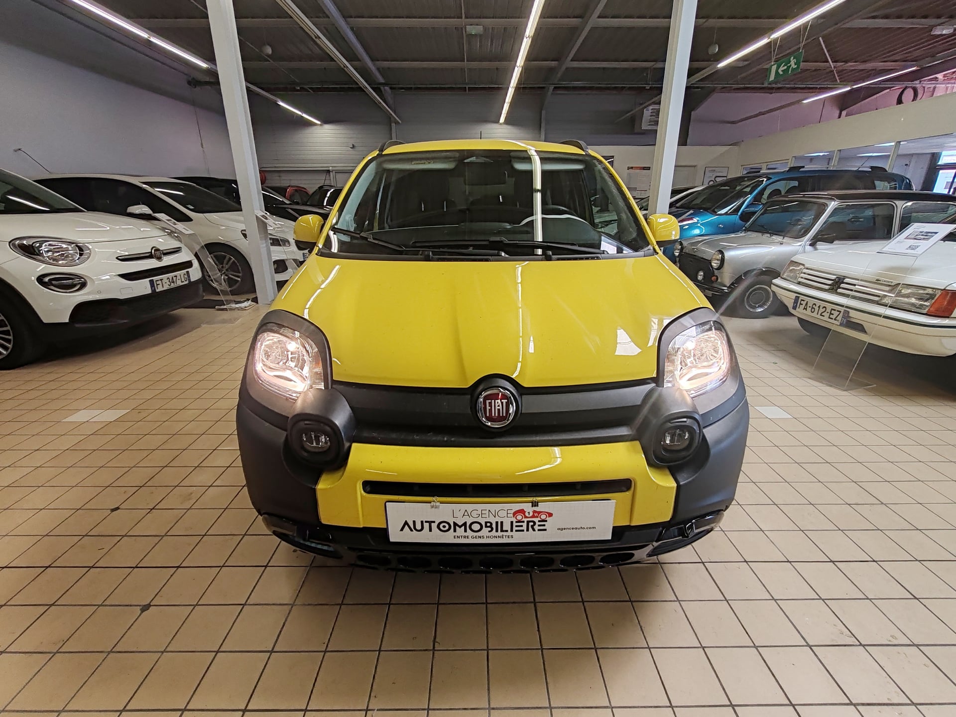 Fiat Panda CLASSIC 1.0 70CV BSG S&S PANDINA — 2