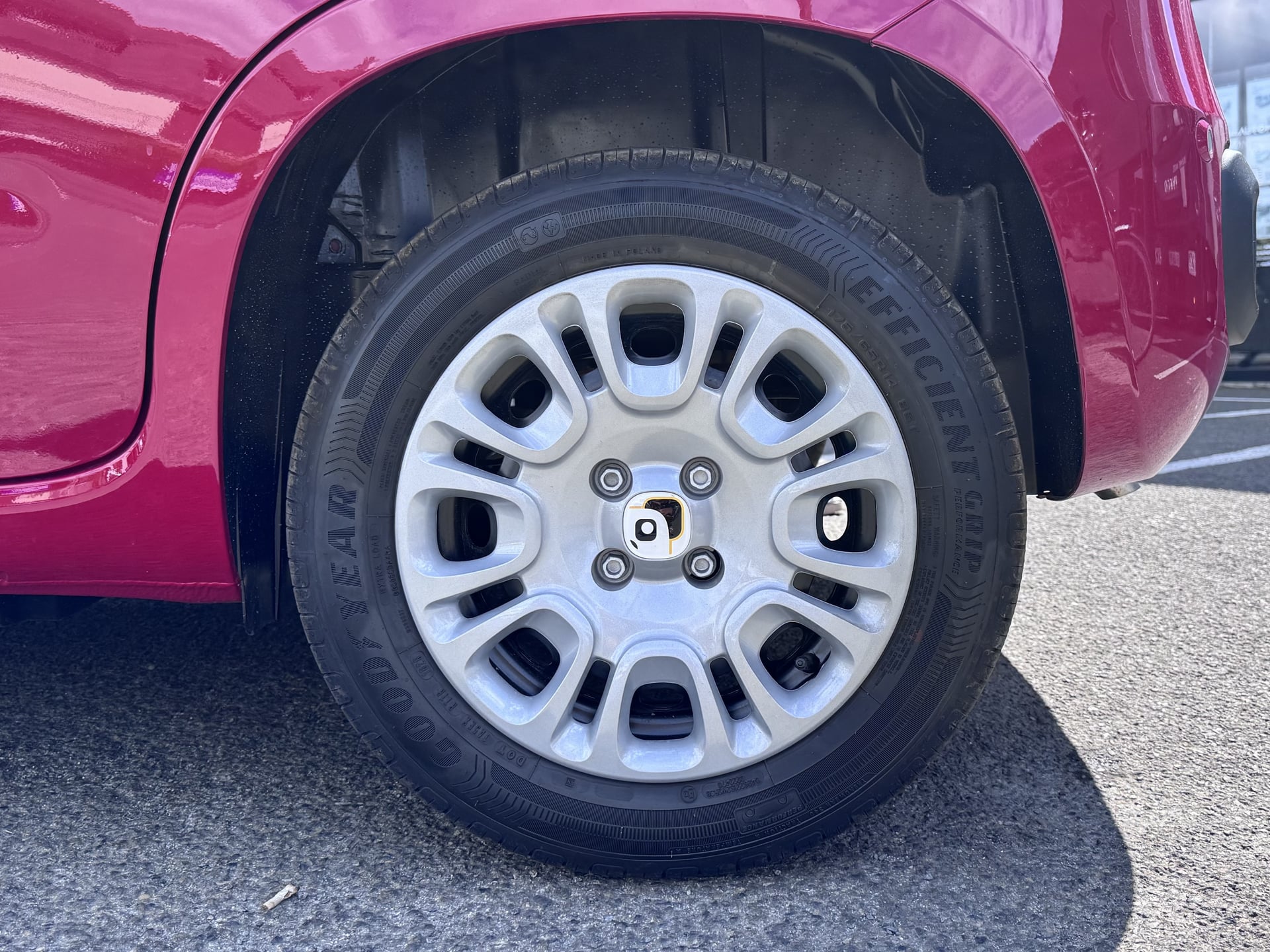 Fiat Panda 1.0 65ch BVM6 S&S HYBRID PANDINA ICÔNE ( très faible kilométrage ) — 37