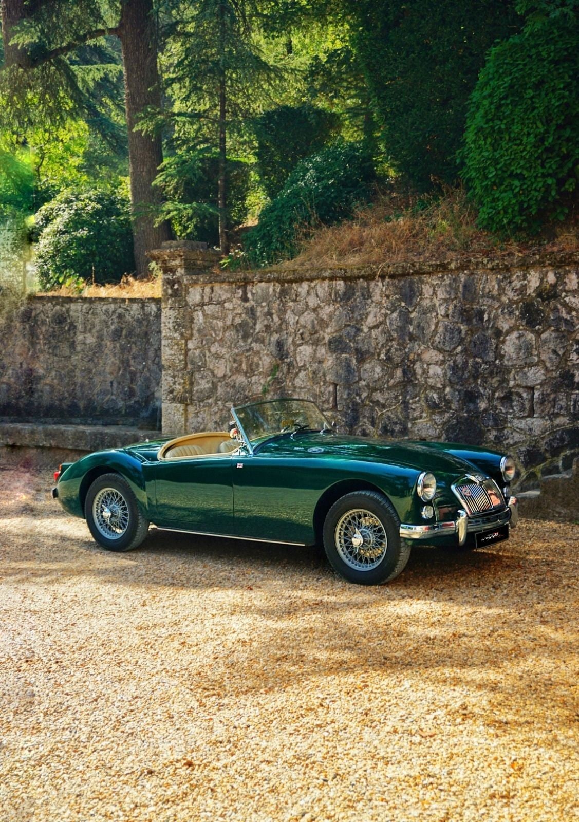 MG A MKI 1600 80 Ch - VERT ANGLAIS — 24