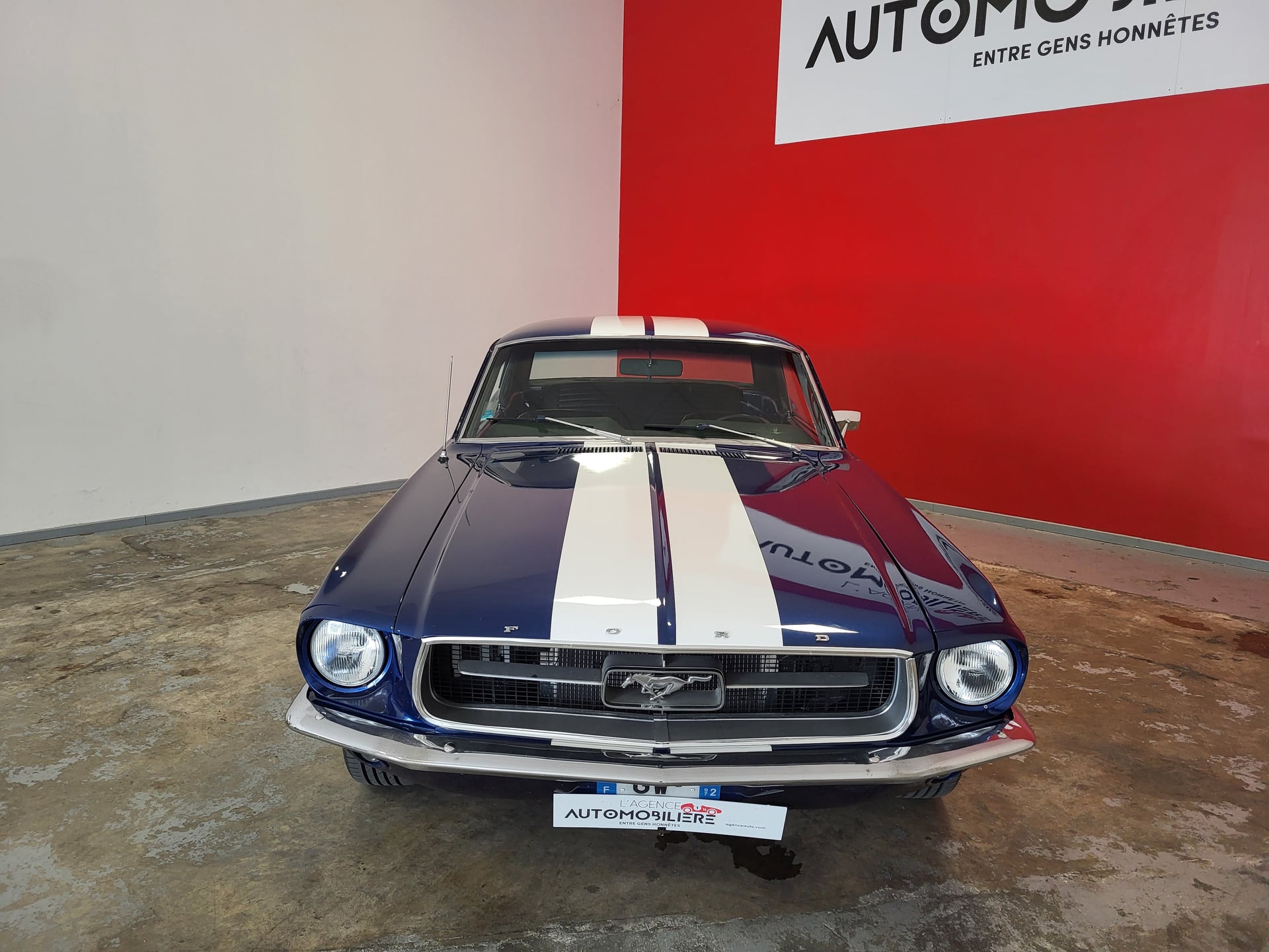 Ford Mustang MUSTANG V8 289 CI BVA — 2