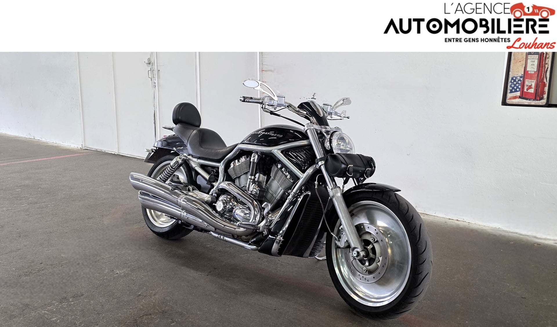Harley Davidson V-Rod Muscle 1131 cm3