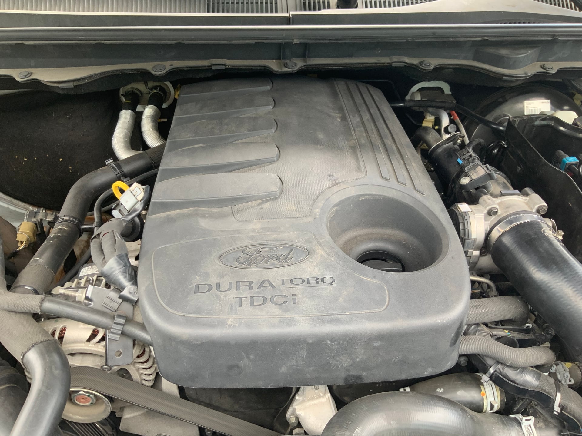 Ford Ford Ranger 3 III(2) 3.2 TDCI 200 AUTO DOUBLE CAB LIMITED — 15