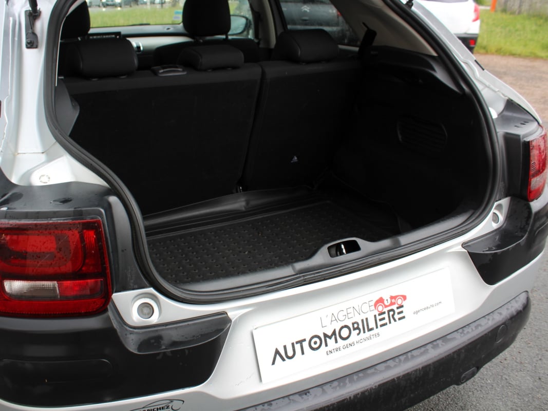 Citroen C4 Cactus BlueHDi 100 CH Shine PARK ASSIST — 32