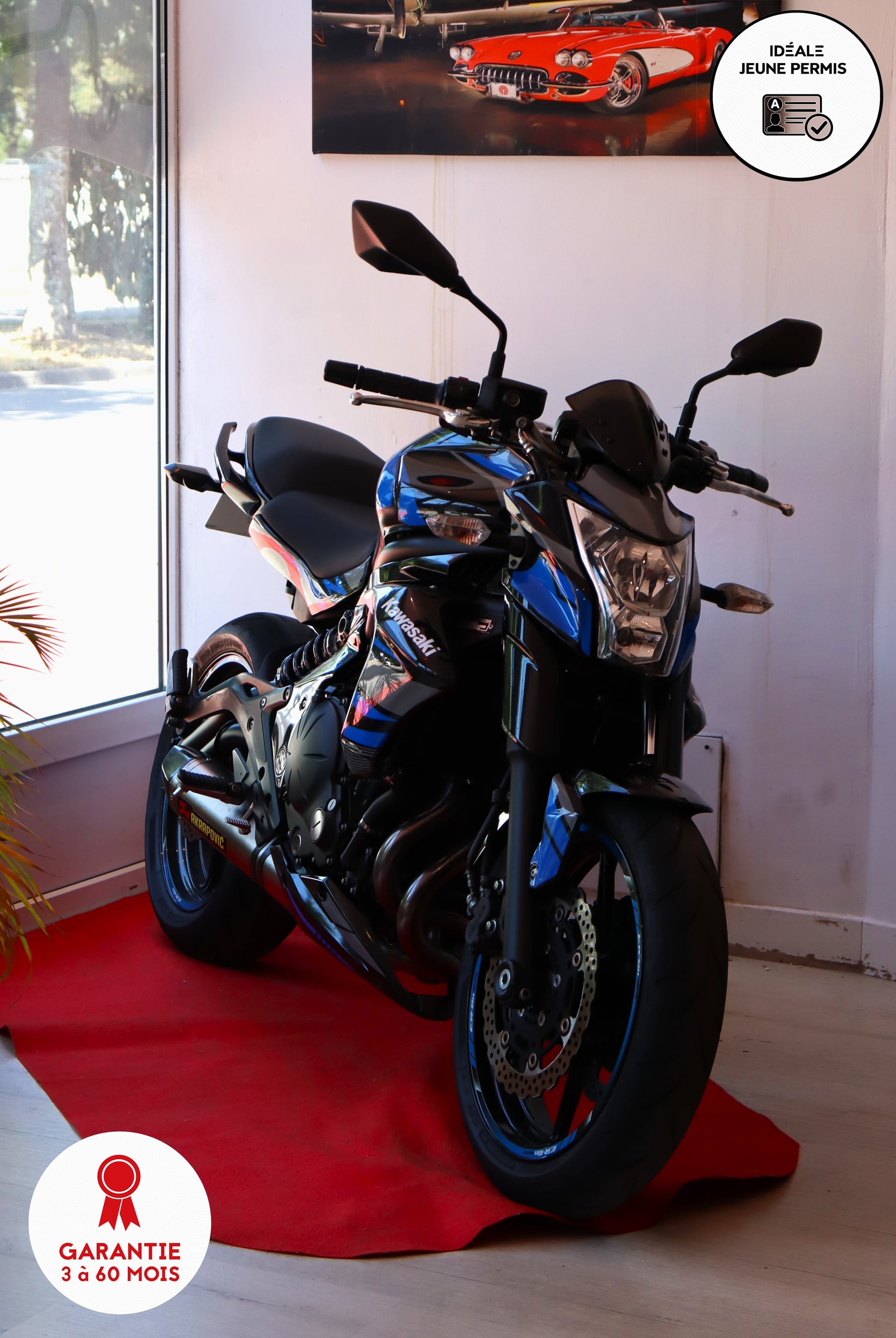 Kawasaki ER6N 650 ABS A2 (Akrapovic)