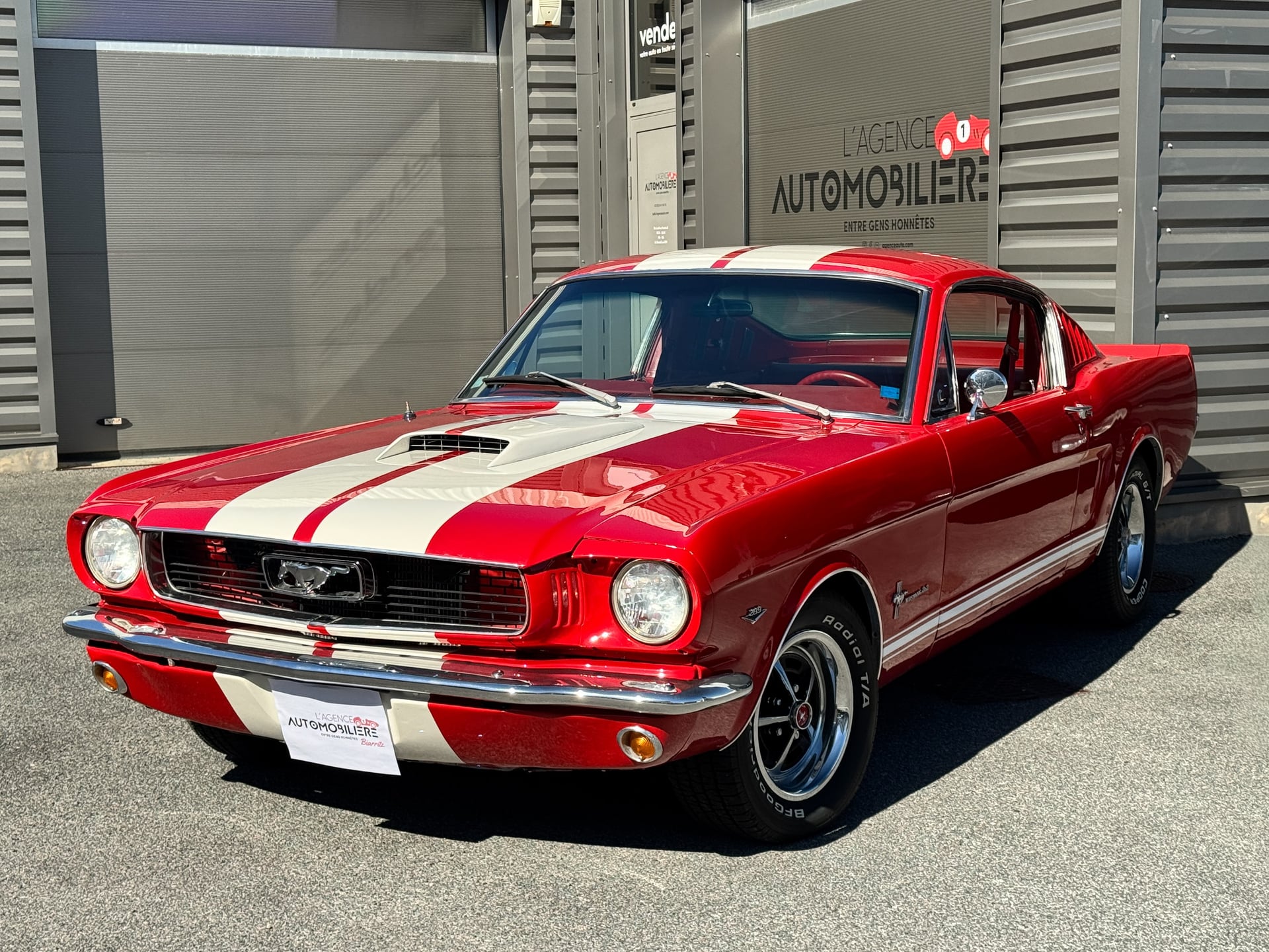 Ford Mustang Fastback V8 289ci